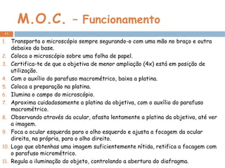 M.O.C.  – Funcionamento Transporta o microscópio sempre segurando-o com uma mão no braço e outra debaixo da base. Coloca o microscópio sobre uma folha de papel. Certifica-te de que a objetiva de menor ampliação (4x) está em posição de utilização. Com o auxílio do parafuso macrométrico, baixa a platina. Coloca a preparação na platina. Ilumina o campo do microscópio. Aproxima cuidadosamente a platina da objetiva, com o auxílio do parafuso macrométrico. Observando através da ocular, afasta lentamente a platina da objetiva, até ver a imagem. Foca a ocular esquerda para o olho esquerdo e ajusta a focagem da ocular direita, na própria, para o olho direito. Logo que obtenhas uma imagem suficientemente nítida, retifica a focagem com o parafuso micrométrico. Regula a iluminação do objeto, controlando a abertura do diafragma. 