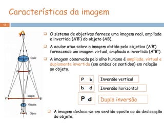 Características da imagem  O sistema de objetivas fornece uma imagem real, ampliada e invertida (A’B’) do objeto (AB). A ocular atua sobre a imagem obtida pela objetiva (A’B’) fornecendo um imagem virtual, ampliada e invertida (A’’B’’).  A imagem observada pelo olho humano é  ampliada, virtual e duplamente invertida  (em ambos os sentidos) em relação ao objeto . A imagem desloca-se em sentido oposto ao da deslocação do objeto. Dupla inversão Inversão vertical Inversão horizontal 