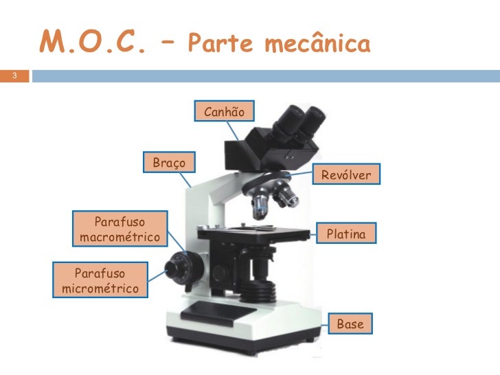 Best Partes Mecanicas Del Microscopio The Latest Articulo