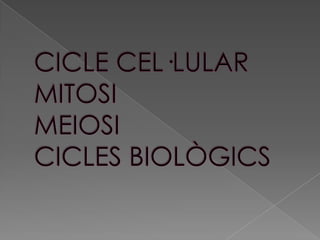 CICLE CEL·LULARMITOSIMEIOSICICLES BIOLÒGICS 