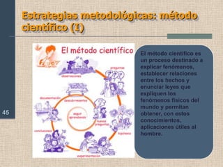 Tamaño de los grupos: 4 personas