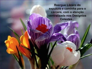 Reergue Lázaro do sepulcro e caminha para o cárcere, com a atenção centralizada nos Desígnios Celestes..  