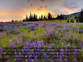 Todavia, para que a ilusão te não imponha o fel do desencanto ou da soledade, ajuda a todos, indistintamente, conservando, acima de tudo, a glória de ser útil, "de modo que haja em nós o mesmo sentimento que vive em Jesus -Cristo". 