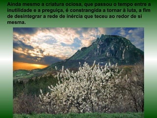 Ainda mesmo a criatura ociosa, que passou o tempo entre a inutilidade e a preguiça, é constrangida a tornar à luta, a fim de desintegrar a rede de inércia que teceu ao redor de si mesma. 