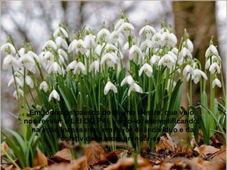 Em todos os passos do Divino Mestre, que veio nos revelar a LEI DO PAI, vemo-lo, exemplificando,  na ação incessante, em favor do indivíduo e da coletividade, sem prender-se. 