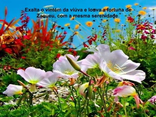 Exalta o vintém da viúva e louva a fortuna de Zaqueu, com a mesma serenidade  