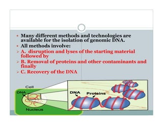 Comprehensive Guide to DNA Isolation and Purification Techniques | PDF