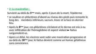 • 2- La macération :
Survient au-delà du 5ème
mois, après 3 jours de la mort, l’épiderme
• se soulève en phlyctènes d’abord au niveau des pieds puis remonte le
long des membres inférieurs, sacrum, tronc et la face en dernier
lieu.
• Après le 8ème
jour, ces phlyctènes s’éclatent et le derme est mis à nu
avec infiltration de l’hémoglobine et aspect violacé fœtus
►
sanguinolent-us.
• Apres ce délai, les viscères vont subir une macération progressive et
au-delà du 30ème
jour, le fœtus devient comme un hamac gélatineux
sans consistance.
 