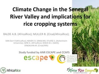 Climate Change in the Senegal
River Valley and implications for
rice cropping systems
BALDE A.B. (AfricaRice); MULLER B. (Cirad/AfricaRice);
VAN Oort P.(AfricaRice); NDIAYE O. (ANACIM); STUERZ S. (Hohenheim
University); SOW A. (AfricaRice); DIACK B.S. (SAED);
DINGKUHN M. (Cirad/IRRI)

Study funded by ANR ESCAPE and CCAFS

 