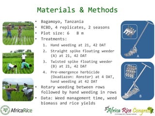 Th2_Labor-saving Weed Management Tools for Lowland Rice: Comparing the ...