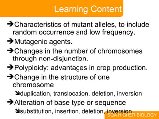 Learning Content Characteristics of mutant alleles, to include random occurrence and low frequency. Mutagenic agents. Changes in the number of chromosomes through non-disjunction. Polyploidy: advantages in crop production. Change in the structure of one chromosome duplication, translocation, deletion, inversion Alteration of base type or sequence  substitution, insertion, deletion, inversion 