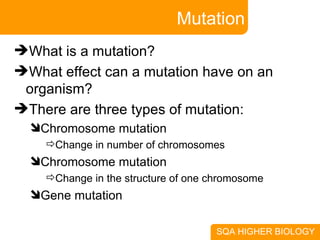 Mutation What is a mutation? What effect can a mutation have on an organism? There are three types of mutation: Chromosome mutation Change in number of chromosomes Chromosome mutation Change in the structure of one chromosome Gene mutation 