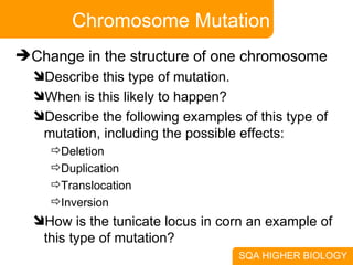 Chromosome Mutation Change in the structure of one chromosome Describe this type of mutation. When is this likely to happen? Describe the following examples of this type of mutation, including the possible effects: Deletion Duplication Translocation Inversion How is the tunicate locus in corn an example of this type of mutation? 