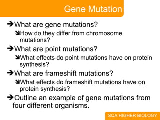 Gene Mutation What are gene mutations? How do they differ from chromosome mutations? What are point mutations? What effects do point mutations have on protein synthesis? What are frameshift mutations? What effects do frameshift mutations have on protein synthesis? Outline an example of gene mutations from four different organisms. 