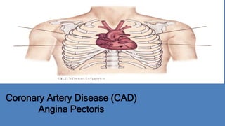 Coronary Artery Disease (CAD)
Angina Pectoris
 