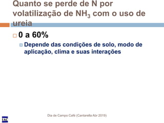 IACIAC
Quanto se perde de N por
volatilização de NH3 com o uso de
ureia
Dia de Campo Café (Cantarella Abr 2019)
 0 a 60%
...