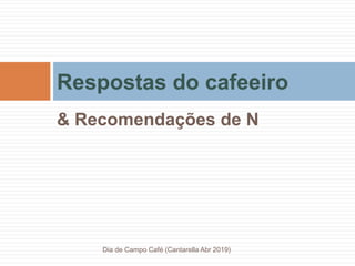 & Recomendações de N
Respostas do cafeeiro
Dia de Campo Café (Cantarella Abr 2019)
 
