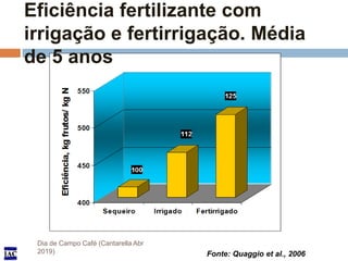 IACIAC
Eficiência fertilizante com
irrigação e fertirrigação. Média
de 5 anos
Fonte: Quaggio et al., 2006
Dia de Campo Caf...