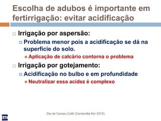 IACIAC
Escolha de adubos é importante em
fertirrigação: evitar acidificação
Dia de Campo Café (Cantarella Abr 2019)
 Irri...