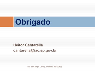 Heitor Cantarella
cantarella@iac.sp.gov.br
Obrigado
Dia de Campo Café (Cantarella Abr 2019)
 