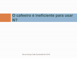O cafeeiro é ineficiente para usar
N?
Dia de Campo Café (Cantarella Abr 2019)
 
