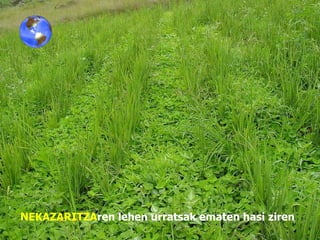 NEKAZARITZA ren   lehen urratsak ematen hasi ziren 