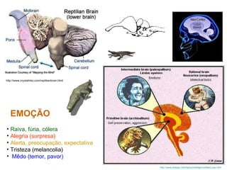 Raiva, fúria, cólera Alegria (surpresa) Alerta, preocupação, expectativa Tristeza (melancolia) Mêdo (temor, pavor) EMOÇÃO http://www.crystalinks.com/reptilianbrain.html http://www.kheper.net/topics/intelligence/MacLean.htm   