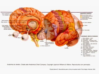 Pliszka,Steven R. Neurociência para o clínico de saúde mental. Porto Alegre, Artemed, 2004  