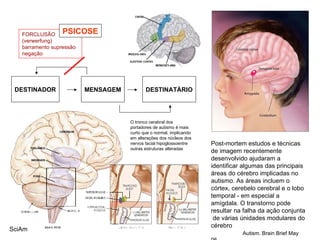 Post-mortem estudos e técnicas de imagem recentemente desenvolvido ajudaram a identificar algumas das principais áreas do cérebro implicadas no autismo. As áreas incluem o córtex, cerebelo cerebral e o lobo temporal - em especial a amígdala. O transtorno pode resultar na falha da ação conjunta  de várias únidades modulares do cérebro  Autism. Brain Brief May 06  SciAm O tronco cerabral dos portadores de autismo é mais curto que o normal, implicando em alterações dos núcleos dos nervos facial hipoglossoentre outras estruturas alteradas DESTINADOR MENSAGEM DESTINATÁRIO FORCLUSÃO (verwerfung) barramento supressão negação PSICOSE 