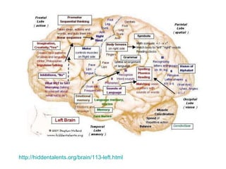 http://hiddentalents.org/brain/113-left.html   