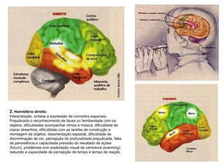 2 . Hemisfério direito:  Interpretação, síntese e expressão de conceitos espaciais.  Prejudicado o reconhecimento de faces ou familiaridade com os objetos, dificuldades acompanhar ritmos e música, dificuldade de copiar desenhos, dificuldade com as tarefas de construção e montagem de objetos, desorientação espacial, dificuldade de discriminação de cor, percepção de profundidade prejudicada, falta de persistência e capacidade previsão do resultado de ações (futuro), problemas com exploração visual de varredura (scanning), reduzido a capacidade de percepção de tempo e tempo de reação. 