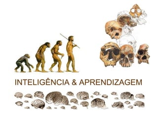 INTELIGÊNCIA & APRENDIZAGEM 