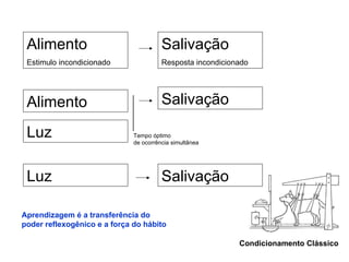 Alimento Estimulo incondicionado Condicionamento Clássico Alimento Luz Tempo óptimo  de ocorrência simultânea Salivação Resposta incondicionado Salivação Aprendizagem é a transferência do  poder reflexogênico e a força do hábito Luz Salivação 