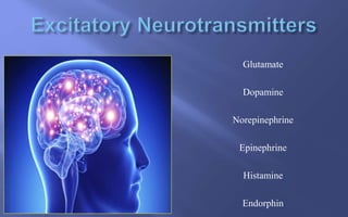 Glutamate
Dopamine
Norepinephrine
Epinephrine
Histamine
Endorphin
 