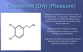 Dopamine is responsible for our drive or desire to
get things done – or motivation. Stimulants such
as medications for ADHD and caffeine cause
dopamine to be pushed into the synapse so that
focus is improved.
Deficiency leads to Parkinson’s disease.
Increased amount contributes to psychotic
disorders and schizophrenia.
Drug and alcohol abuse can temporarily increase
dopamine levels in the blood, leading to
confusion and inability to focus.
 