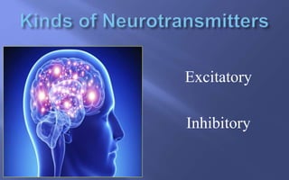 Excitatory
Inhibitory
 