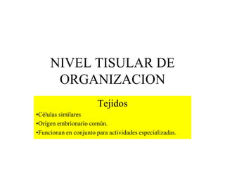 NIVEL TISULAR DE
ORGANIZACION
Tejidos
•Células similares
•Origen embrionario común.
•Funcionan en conjunto para actividades especializadas.
 