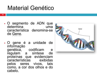 Material GenéticoSabe-se hoje em dia que o material genético, ou seja, o material que contem a informação de cada um de nós é o ADN