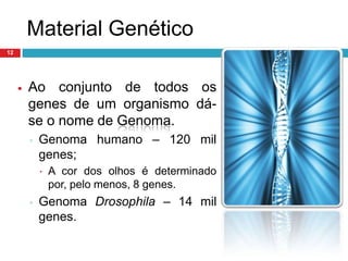 Ácido Desoxirribonucleico