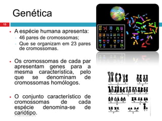 Material GenéticoOs nucleótidos são as unidades básicas do ADN e são formados por: