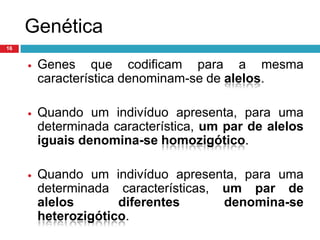 Existem quatro tipos de bases azotadas: