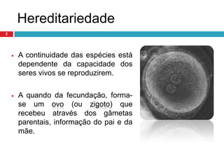 HereditariedadeA continuidade das espécies está dependente da capacidade dos seres vivos se reproduzirem.