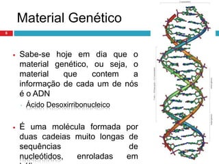 Existem no entanto muitas outras características herdadas que são fortemente influenciadas pelo meio ambiente. 3