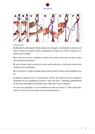 www.cat.ts.it
14
Esecuzione
A dissipata la sollecitazione della caduta del compagno, mantenendo la trazione sul
ramo di corda nel quale si opera, impugnare la corda con la mano a monte con il
pollice verso il basso;
B si ruota ora la mano, portando il pollice verso l’alto, formando una spira (mano
che eserciterà la trazione);
C con la mano a valle si prende la corda scarica dal peso si farà girare attorno alla
corda che va al compagno;
D si fa entrare un tratto di questa corda scarica dentro la spira tenuta dall’altra ma-
no;
E abbiamo costruito così un “nodo galera” attorno alla corda che va al compagno,
sfruttando la sua caratteristica tiriamo il ramo che serra , togliendo gradatamente
le dita (che mantengono la trazione) man mano che il nodo si stringe;
F il peso del compagno si è ora trasferito sul nodo che blocca il “nodo mezzo bar-
caiolo” e si hanno le mani libere per fare altre operazioni.
 