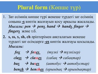 Plural form (Көпше түр)
1. Зат есімнің көпше түрі жекеше түрдегі зат есімнің
   соңына -s көптік жалғауын қосу арқылы жасалады.
   Мысалы: pen  pens, hand  hands, finger 
   fingers және т.б.
2. s, ss, x, sh, ch әріптерімен аяқталатын жекеше
   түрдегі зат есімдерге -es көптік жалғауы қосылады.
   Мысалы:
        fox  foxes          (түлкі  түлкілер)
       class  classes (сабақ  сабақтар)
       bus  buses          (автобус  автобустар)
       bench  benches (орындық  орындықтар)
 