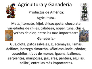 Agricultura y Ganadería Productos de América: Agricultura.- Maíz, jitomate, frijol, chicozapote, chocolate, variedades de chiles, calabaza, nopal, tuna, chicle, yerbas de olor, entre las más importantes. Ganadería.- Guajolote, patos salvajes, guacamayas, llamas, delfines, borrego cimarrón, xólotlescuincle, cóndor, cocodrilos, tipos de monos, iguana, ballenas, serpientes, mariposas, jaguares, pantera, águilas, colibrí, entre las más importantes. 