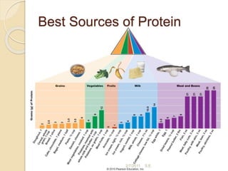 Best Sources of Protein
47
2/7/2011 S.E.
 
