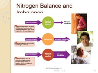 Nitrogen Balance and
Imbalance
51
2/7/2011 S.E.
 