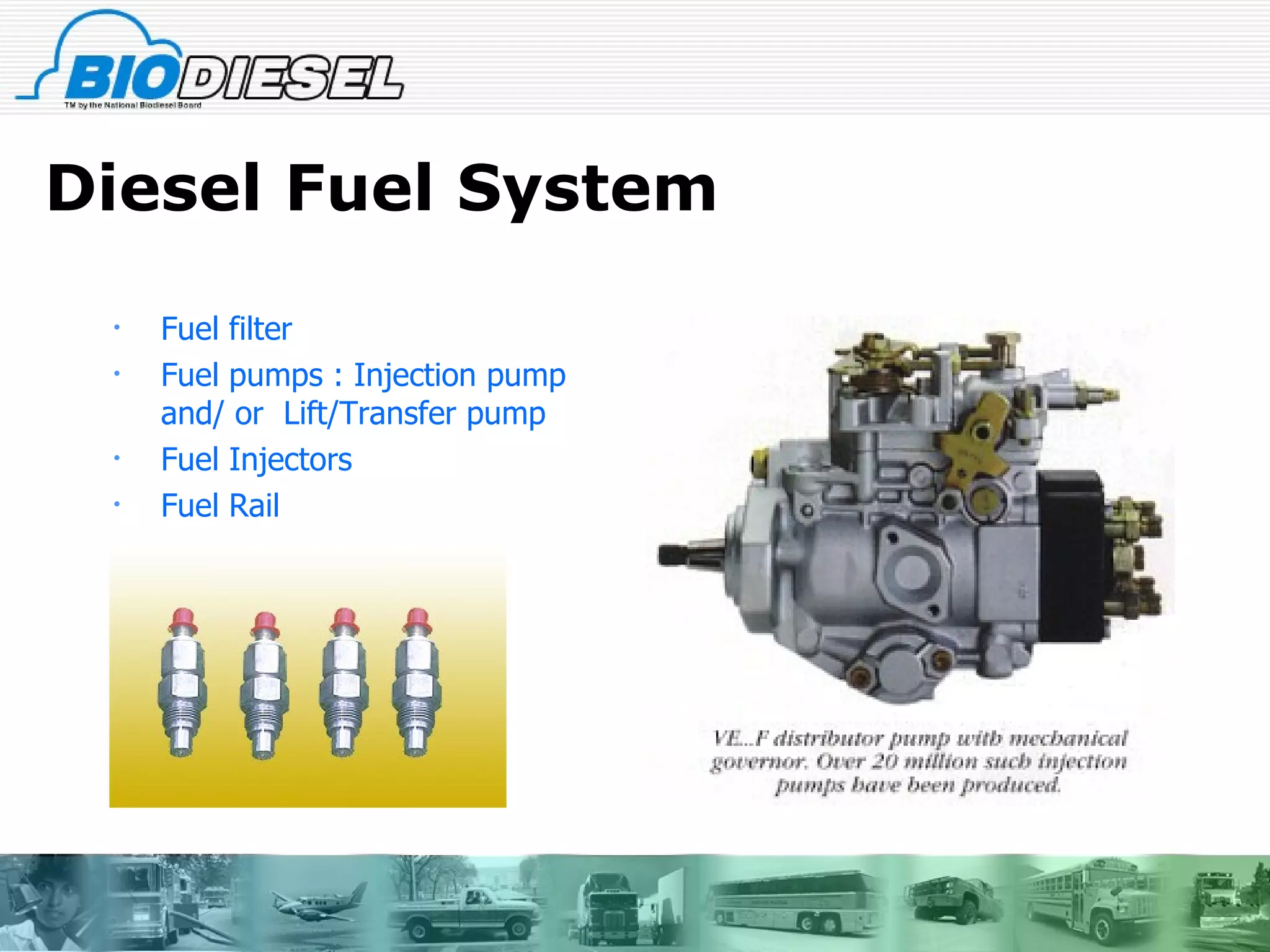 Diesel Fuel System Fuel filter Fuel pumps : Injection pump and/ or  Lift/Transfer pump Fuel Injectors Fuel Rail 