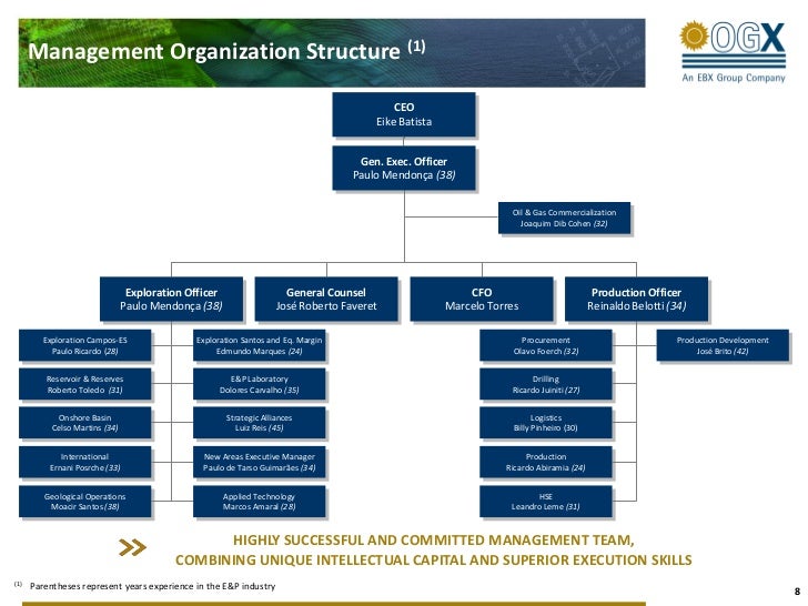 Petrobras Organization Chart